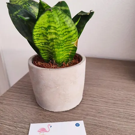 Bed & Breakfast Mare&vancanze 3*