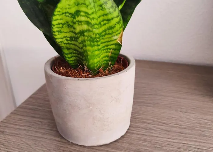 Bed & Breakfast Mare&vancanze 3*